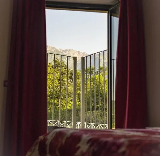 酒店 皮纳餐厅酒店 *